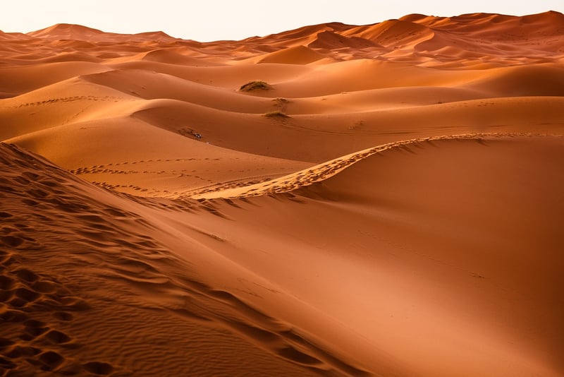 Dune Bashing